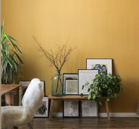 Interior of home with yellow walls and furniture